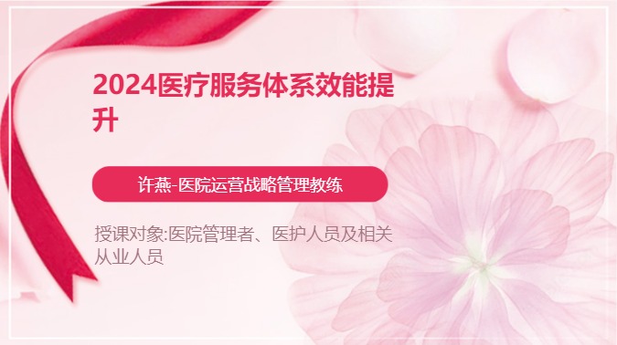 2024医疗服务体系效能提升