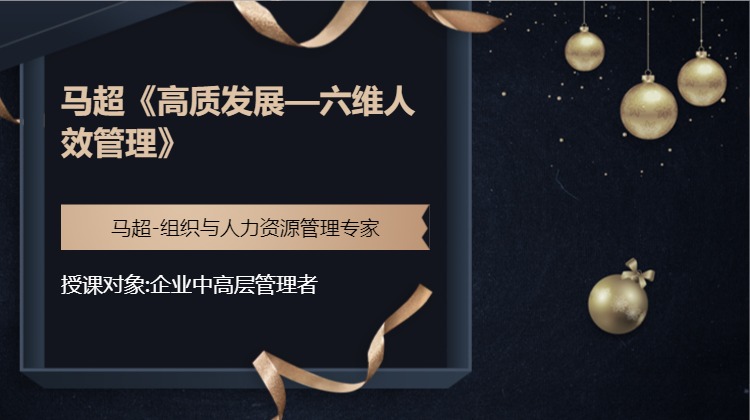马超《高质发展—六维人效管理》