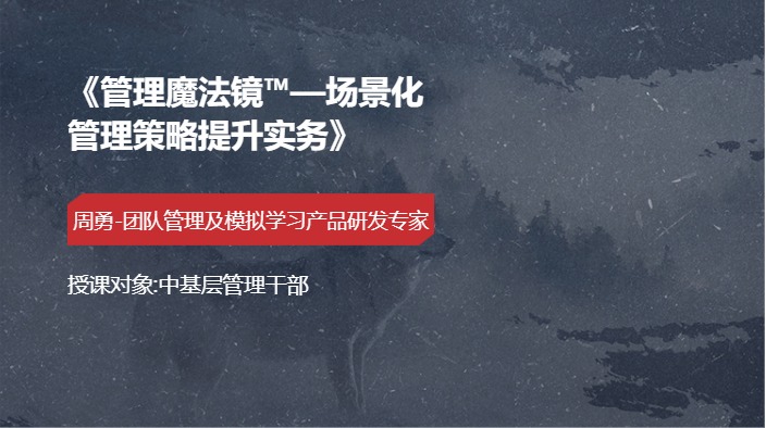 《管理魔法镜™—场景化管理策略提升实务》