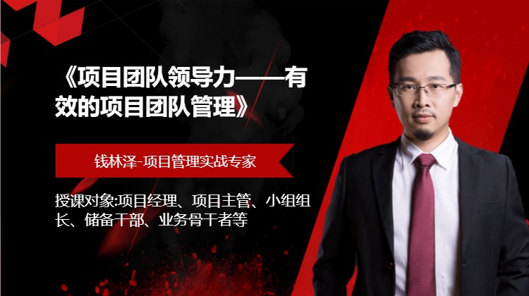 《项目团队领导力——有效的项目团队管理》