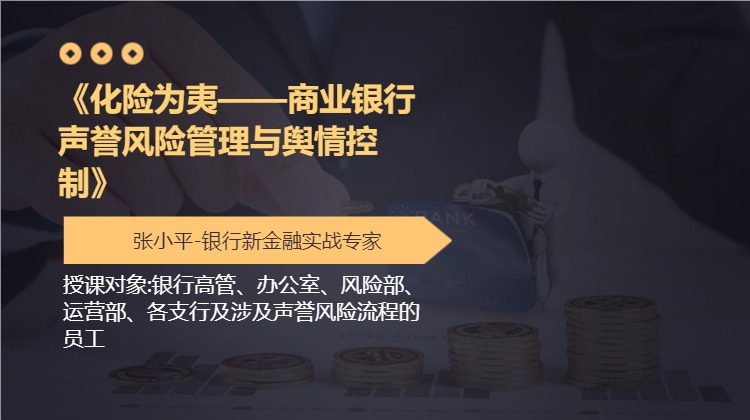 《化险为夷——商业银行声誉风险管理与舆情控制》