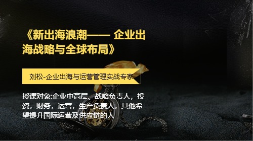 《新出海浪潮—— 企业出海战略与全球布局》